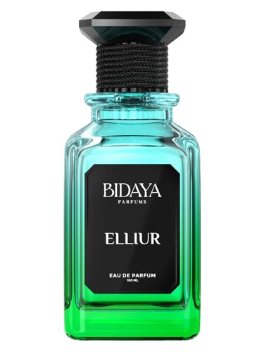 Frasco do Elliur, da Bidaya